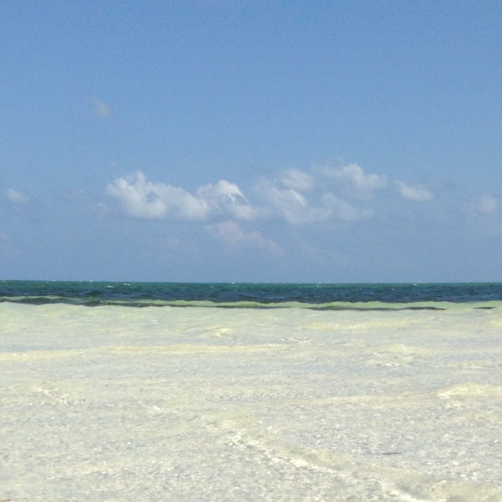 Meet your Posher, L.